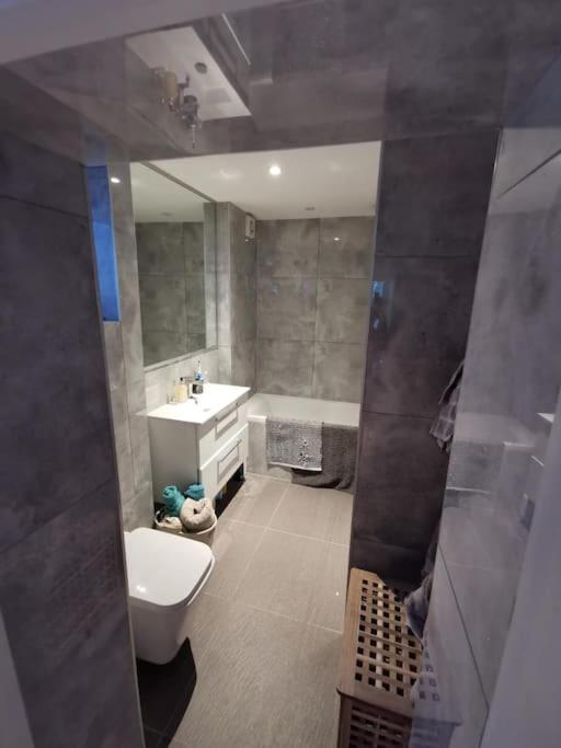 Entire Apartment Alexandra Palace, London Ngoại thất bức ảnh
